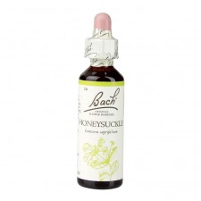 Bach Original Flower Remedies Honeysuckle 20ml